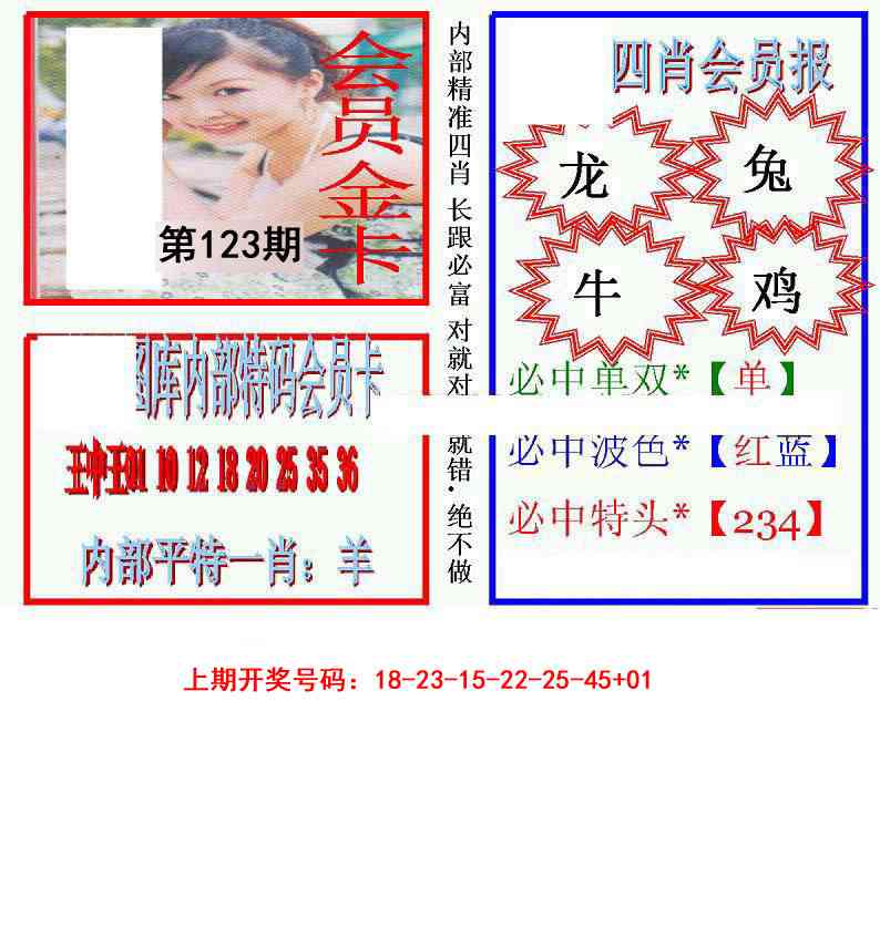 九龍四肖会员报